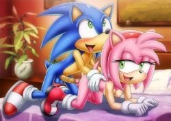 amy rose from sega by bbmbbf
