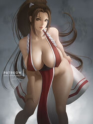 mai shiranui from fatal fury by lolliedrop
