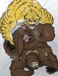 2010 anal anal_sex anthro armpit_hair balls belly bodily_fluids body_hair brown_body brown_fur closed_eyes duo erection felid fur male male/male mammal moobs nipples overweight overweight_male pantherine penetration penis sweat tetsuo_oshiba tiger ursid