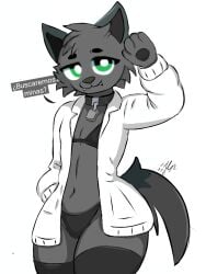 bobicraft from minecraft by mlp118edit