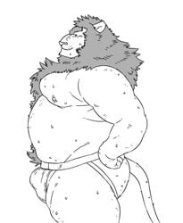 anthro ass belly bodily_fluids bulge clothing felid humanoid_hands jockstrap lion male male_only mammal moobs nipples overweight overweight_male pantherine solo sweat tetsuo_oshiba underwear