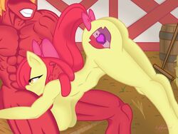 anthro apple_bloom_(mlp) ass_up big_breasts big_macintosh_(mlp) breasts brother brother_and_sister deepthroat equid equine fellatio female friendship_is_magic incest lefthighkick male mammal muscular muscular_male my_little_pony nude oral penile sex sibling sister straight