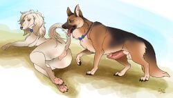 absurd_res anthro anthro_on_feral anus balls bodily_fluids bow_ribbon brown_background brown_body brown_fur brown_hair canid canine canine_vulva canis domestic_dog duo erection female feral fur genital_fluids genitals german_shepherd grey_body grey_fur hair herding_dog hi_res humanoid_genitalia humanoid_penis hunting_dog male male/female mammal pastoral_dog pawpads penis precum saluki sighthound simple_background tan_body tan_fur tongue tongue_out wanderlustdragon zoophilia