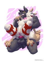 anal anal_sex animal_genitalia animal_penis anthro anthro_on_anthro anthro_penetrated anthro_penetrating anthro_penetrating_anthro balls bodily_fluids bound breasts canid canine canine_genitalia canine_penis canis duo ejaculation female female_penetrated fur genital_fluids genitals grey_body grey_fur hi_res kneeling knot knot_in_ass knotted_penis legs_tied male male/female male_penetrating male_penetrating_female mammal nipples nooshka penetration penile penile_penetration penis penis_in_ass pink_background pussy sex simple_background submissive submissive_anthro submissive_female vaginal_fluids vaginal_squirting white_background wolf