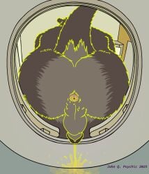 anthro anus ass backsack balls bodily_fluids body_hair butt_focus butt_hair echo_(game) echo_(series) echo_project feces genital_fluids genitals glans hi_res humanoid_genitalia humanoid_penis john_q._psychic low-angle_view male mammal mustelid otter peeing penis perineum pink_anus scat sitting solo sydney_bronson toilet toilet_use urine watersports worm's-eye_view