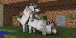 2019 2:1 3d 3d_(artwork) 8k absurd_res canid canine canis codedcells digital_media_(artwork) female female_penetrated feral feral_on_feral feral_penetrated feral_penetrating feral_penetrating_feral gay hi_res male male_penetrating male_penetrating_female mammal minecraft mojang pale_wolf_(minecraft) penetration penis straight vaginal_penetration video_games wolf wolf_(minecraft)