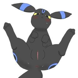 4_toes anus ass_up black_fur blue_fur blush clitoris digital_media_(artwork) eeveelution feet female female_focus female_only feral feral_female furry genitals hi_res looking_at_viewer looking_up lying mammal nintendo on_back paws plump_labia pokemon pokemon_(species) pussy ring_(marking) shiny_pokemon shiny_umbreon simple_background solo solo_focus spread_legs sweat tagme tail umbreon uncensored vagina video_games white_background yellow_eyes