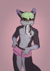 absurd_res bodily_fluids boxer_briefs bulge canid canine clothing fox genital_fluids hi_res jockstrap leaking_precum leggicle male mammal precum solo true_fox underwear underwear_in_mouth