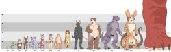 absurd_res andromorph anthro anup balls black_sclera breasts chart claws coosa cuntboy female fur geordian geroo group hair height_chart hekiru hi_res humanoid intersex krakun kyacatol lio_(species) male metric_unit model_sheet mysa nipples nude penis pussy rick_griffin ringel size_difference sourang staff tail turek umbran