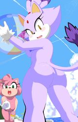 Sonic (Series) Rule 34 Image