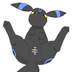 4_toes anus ass_up black_fur blue_fur blush censor_bar censored censored_pussy clitoris digital_media_(artwork) eeveelution feet female female_focus female_only feral feral_female furry genitals hi_res looking_at_viewer looking_up lying mammal nintendo on_back paws plump_labia pokemon pokemon_(species) pussy ring_(marking) shiny_pokemon shiny_umbreon simple_background solo solo_focus spread_legs sweat tagme tail umbreon vagina video_games white_background yellow_eyes