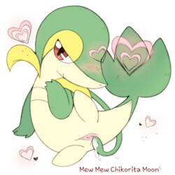 pokemon (species) from nintendo by chikorita moon