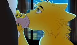 2022 Rule 34 Image