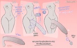 big_ass big_balls big_penis boy champaanimation champi_(oc) femboy geometric_shapes how_to_draw huge_balls huge_cock hung_femboy hung_trap male naked nipple_piercing reference reference_image small_breasts smaller_male step_by_step text torso tutorial