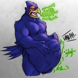 bird blue_body blue_feathers burping digestion digestion_noises falco_lombardi gay ivore star_fox tagme vore