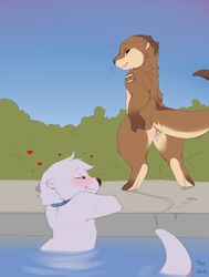 after_sex blush bodily_fluids cum cum_in_pussy cum_inside female genital_fluids heart kiwi_(changing_fates) looking_back lutrine male mammal mustelid partially_submerged pebble_(letodoesart) pussy shuryashish