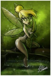 14-bis 1girls 2000s 2008 disney disney_fairies fairy female female_only jpg peter_pan_(disney) signature solo tagme tinker_bell