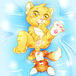 faellie kougra maverick neopets tagme