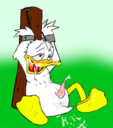 1boy anthro anus bondage disney donald_duck furry male male_only penis solo tagme