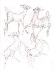 bambi_(film) cervine deer disney doe faline female feral monochrome rough_sketch sketch vagina work_in_progress