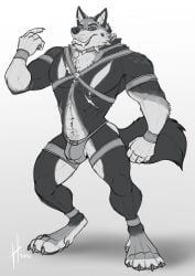 2021 abs absurd_res anthro arm_tuft balls barely_visible_balls barely_visible_genitalia big_fangs big_muscles bulge canid canine cheek_tuft chest_tuft claws clothed clothing collar crossdressing crossdressing_male dated facial_tuft fangs finger_claws fingerpads front_view full-length_portrait gay genitals glistening glistening_eyes grin harness hi_res homosexual homosexual_male hufnaar jockstrap looking_at_viewer male male_anthro male_only mammal monochrome muscular muscular_anthro muscular_male neck_tuft notched_ear pawpads pecs portrait pupils simple_background slit_pupils smile solo spiked_collar spikes standing tail teeth toe_claws topless tuft underwear