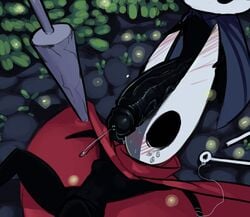 1boy 1girls blush boxman cape cloak defeated erection female flustered hollow_knight hornet_(hollow_knight) huge_cock hyper hyper_penis incest larger_female looking_at_penis male mantle penis penis_awe penis_on_head precum protagonist_(hollow_knight) red_cape siblings small_but_hung smaller_male spear