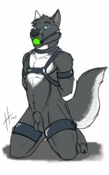 2016 animal_genitalia anthro athletic athletic_anthro athletic_male ball_gag balls bdsm blue_eyes bondage bound canid canine collar dated front_view fully_sheathed fur gag gagged genitals grey_balls grey_body grey_collar grey_fur grey_harness grey_sheath grey_tail hands_behind_back harness head_tuft hi_res hufnaar kneeling male male_anthro mammal muzzle_(object) muzzle_gag muzzled nude sheath solo tail tuft white_body white_fur white_tail