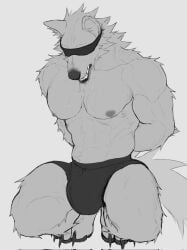 2026 abs anthro arm_tuft big_bulge black_clothing black_nose black_underwear blindfold bodily_fluids boxers_(clothing) bulge canid canine canis cheek_tuft claws clothed clothing crouching drooling facial_tuft front_view fur grey_body grey_fur greyscale hands_behind_back hi_res kojiray leg_tuft looking_down male mammal monochrome muscular muscular_anthro muscular_male neck_tuft nipples partially_clothed pecs saliva saliva_string shoulder_tuft simple_background solo tail teeth toe_claws topless topless_anthro topless_male tuft underwear wolf