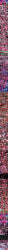 2boys 4boys abs age_difference anal anal_orgasm anal_penetration anal_sex anus ash_crimson ass ass_grab ass_up asshole bald bald_male balls balls_piercing barefoot bath bathing bathtub belly_button_piercing big_dom_small_sub big_penis blowjob blush bubble_ass bubble_butt chain_leash chained chains choker close-up close_up clothing_removed cock_worship collar color colored comic comic_page completely_nude crying crying_with_eyes_open cum cum_from_ass cum_in_ass cum_inside cum_overflow cum_string cumming daddy dark-skinned_male dark_skin deep_penetration dilf drool ejaculation english english_text erect_penis erection excessive_cum feet fellatio femboy foot_fetish foreskin french_kiss french_kissing from_behind from_behind_position fucked_senseless fucked_silly gay gay_anal gay_domination gay_sex girly hair_grab hands-free hands_behind_back handsfree_ejaculation head_grab height_difference horny huge_cock interracial jackash kissing large_penis leash leash_and_collar legs_apart legs_up light-skinned_male light_skin lingerie livestream male male/male male_only mind_break multiple_images muscular muscular_male nail_polish needle nipple_pinch nipple_play nipple_tweak nipples nude nude_male open_mouth oral oral_penetration oral_sex pecs penis penis_piercing penis_size_difference phone pierced_balls pierced_belly_button pierced_genitals pierced_nipples pierced_tongue piercing piercings pleasure_face plot prison_guard_position removed_clothing restrained rough_sex saliva sex sex_slave sex_toy shion_(kof) sissy sissyfication sissygasm size_difference small_penis smartphone spread_legs stomach_bulge stream submissive submissive_male tears testicles text text_box the_king_of_fighters thick_penis tied tied_hands tied_up tongue tongue_kiss tongue_out tongue_piercing trap uncircumcised veiny_penis water webcam wet wet_body x-ray yaoi