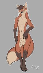 2020 4_toes 5_fingers animal_genitalia anthro balls black_body black_fur canid canine digitigrade fingers fox fully_sheathed fur green_eyes male male_only mammal navel nude orange_body orange_fur richard_foley sheath signature simple_background solo standing toes whiskers