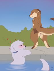 after_sex blush bodily_fluids cum cum_in_pussy cum_inside female genital_fluids heart kiwi_(changing_fates) looking_back lutrine male mammal mustelid partially_submerged pebble_(letodoesart) pussy shuryashish