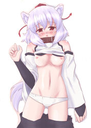 animal_ears blush bushy_tail collar detached_sleeves eyebrows_visible_through_hair female fingerless_gloves medium_breasts momiji_inubashiri nabetomo no_bra open_mouth panties red_eyes shirt_lift solo tail tears touhou white_hair white_panties