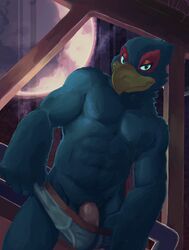 avian briefs clothing falco_lombardi flaccid male male_only muscular nintendo penis solo solo_male spectral-bat star_fox underwear video_games