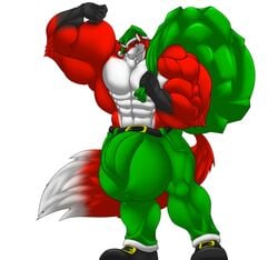 balls belt big_balls big_muscles bulge canid canine christmas clothed clothing flexing fox hat headgear headwear holidays huge_balls huge_muscles hyper hyper_balls hyper_bulge hyper_muscles hyper_penis male male_only mammal muscular penis sachiel_666 santa's_bag santa_hat simple_background tanilys_(character) topless white_background