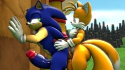 2020 3d anthro ass balls big_butt blue_body canid canine clothing duo erection eulipotyphlan fox fur gloves green_eyes handwear hedgehog hi_res hot_dogging humanoid_penis looking_back male male/male mammal nude penis smile sonic_(series) sonic_the_hedgehog sonic_the_hedgehog_(series) source_filmmaker tails themeshow101 video_games