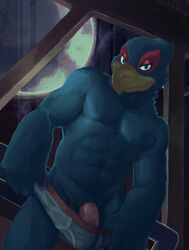 avian briefs clothing falco_lombardi flaccid male male_only muscular nintendo penis solo solo_male spectral-bat star_fox underwear video_games