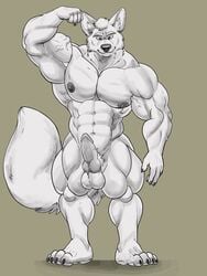 2019 4_toes 5_fingers abs anthro balls biceps big_muscles black_and_white build-a-wuff canid canine claws erection fingers flexing fox huge_muscles knot looking_at_viewer male male_only mammal monochrome muscular muscular_male nipples nude pecs penis plantigrade quads simple_background solo solo_male standing toes triceps veiny_muscles