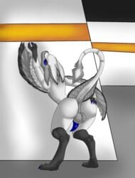 anthro anus ass avali bastiel claws feathers male male_anus male_only penis presenting presenting_hindquarters raised_tail solo standing