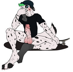 anthro balls beanie blush canid canine canis clothed clothing dalmatian domestic_dog erection fur green_hair hair hat headgear headwear humanoid_penis legwear looking_at_viewer male male_only mammal musk penis simple_background skateboard skater smile socks solo spots topwear white_body white_fur xdarkspace