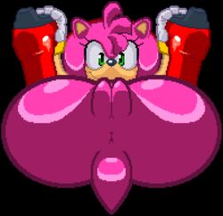 amy_rose beige_skin book color female female_only fur furry hedgehog hotred no_panties pink_fur seikoseeley skin solo sonic_(series)