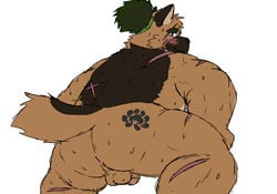 2020 absurd_res anthro ass balls blush bodily_fluids brown_body brown_fur canid canine canis domestic_dog fur genitals hi_res humanoid_penis kemono male male_only mammal overweight overweight_male penis reddo12340 scar simple_background solo sweat tokyo_afterschool_summoners video_games white_background yasuyori