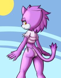 blaze the cat from sega by fours (artist)