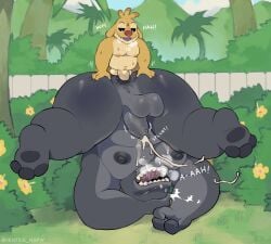 experiment (lilo and stitch) from disney by ventesthefloof