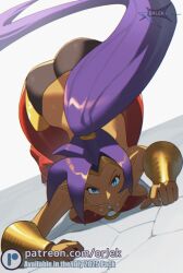 shantae (character) from shantae by orlek