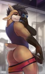 sorin (cabura) fan art