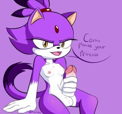 blaze the cat from sonic (series) by shumpy
