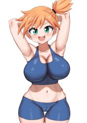 kasumi (pokemon) from nintendo by runate