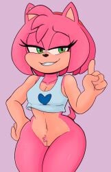 amy rose from sonic (series) by elgato17