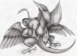 01phoenix01 ambiguous_gender anthro avian bondage bondage bound butt_egg collar dragon egg facesitting feral forced gryphon inflation male male/ambiguous oral penis raised_tail rape spread_legs spreading tacet_the_terror varesh wings zoophilia