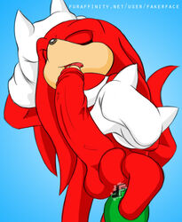 knuckles the echidna from sonic (series) by fakerface